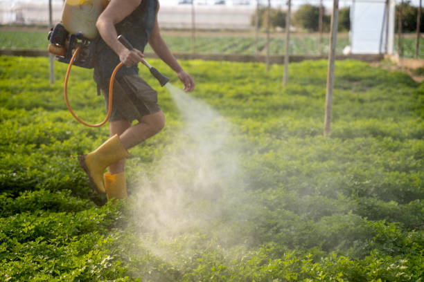Best Affordable Pest Control Services  in Boalsburg, PA