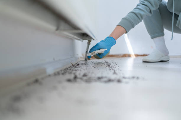 Flea Control Services in Boalsburg, PA